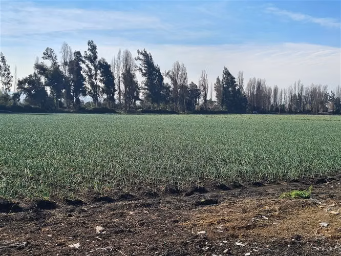 Parcela de Agrado en Condominio Privado Lo Solar Lampa