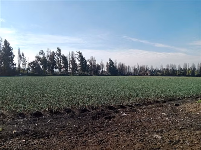 Parcela de Agrado en Condominio Privado Lo Solar Lampa