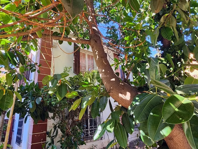 Casa en venta de 5 dorm. en Providencia