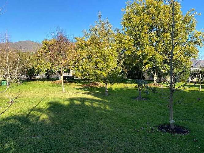 Venta de parcela con frutales en San Isidro (162525) - Imagen 2