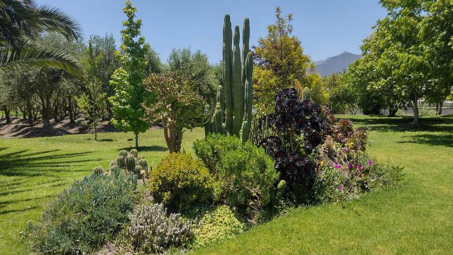 Venta de parcela con frutales en San Isidro (162525) - Imagen 7
