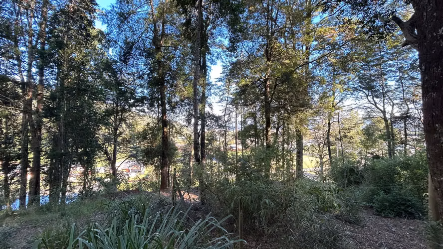 Se vende parcela en Condominio El Colmenar – Valdivia