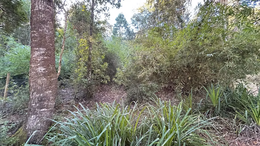 Se vende parcela en Condominio El Colmenar – Valdivia - Imagen 3