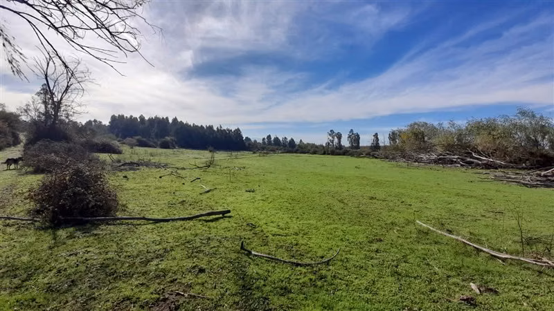 Se vende parcela agrícola 40,14 hectáreas en San Rafael