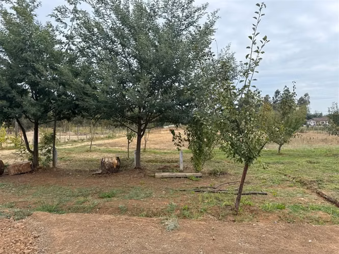 Se vende parcela 7.430 m2 con casa en Pelarco