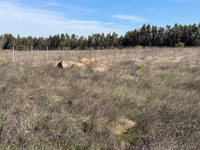 Se vende 1 hectárea en sector Quesería Pelarco - Imagen 3