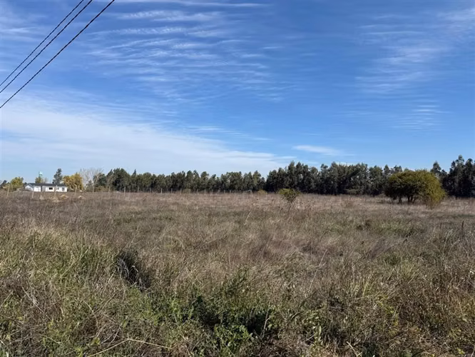 Se vende 1 hectárea en sector Quesería Pelarco - Imagen 5