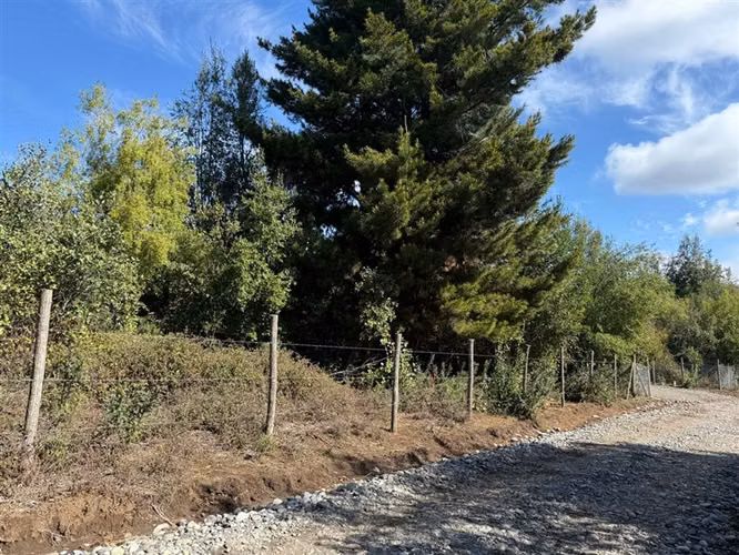 Se vende parcela de 5.000 m2 en Vilches Alto