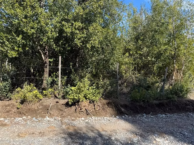 Se vende parcela de 5.000 m2 en Vilches Alto