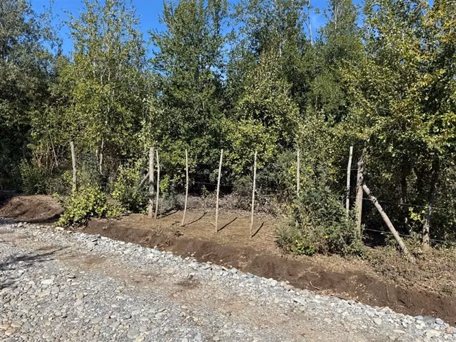 Se vende parcela de 5.000 m2 en Vilches Alto
