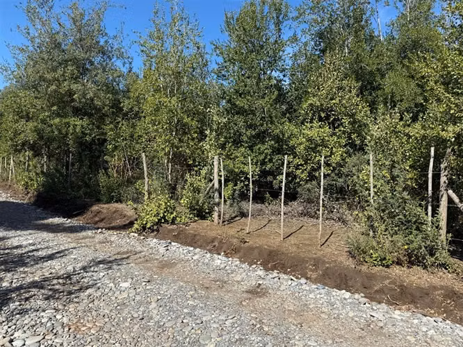 Se vende parcela de 5.000 m2 en Vilches Alto