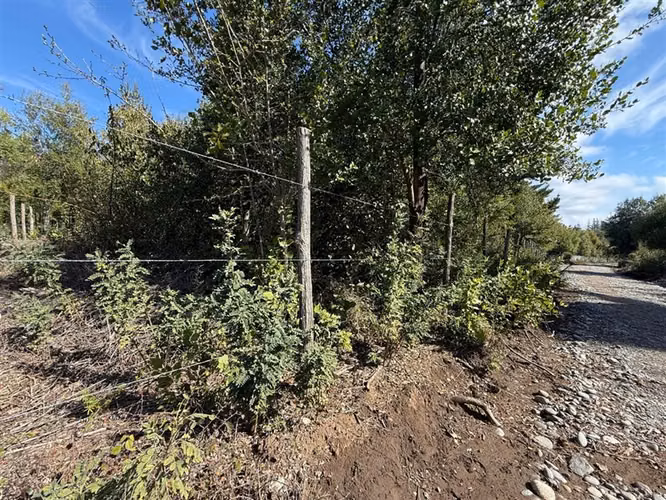 Se vende parcela de 5.000 m2 en Vilches Alto