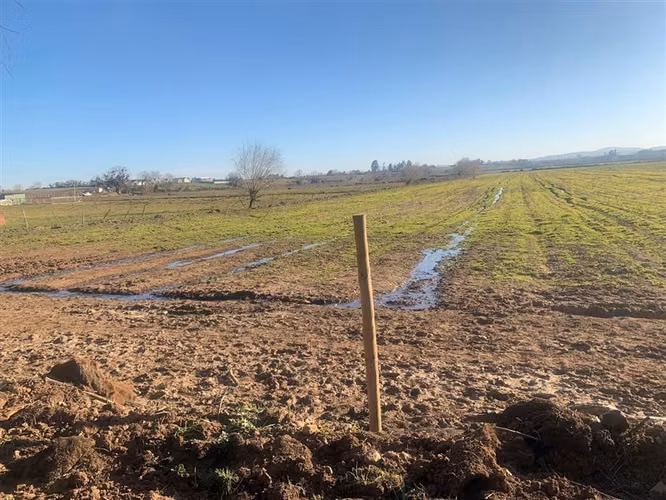 Se Vende Parcela Agrícola de 8 Hectáreas,Pelarco
