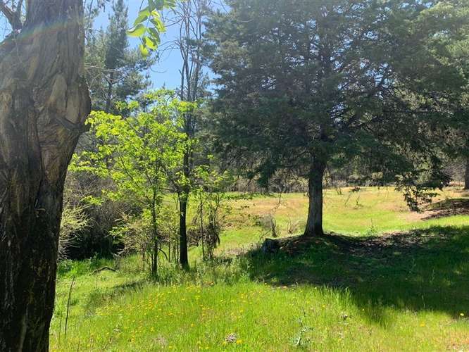 Se vende 2.34 ha,sector Pan de Azúcar,comuna de San Javier - Imagen 3