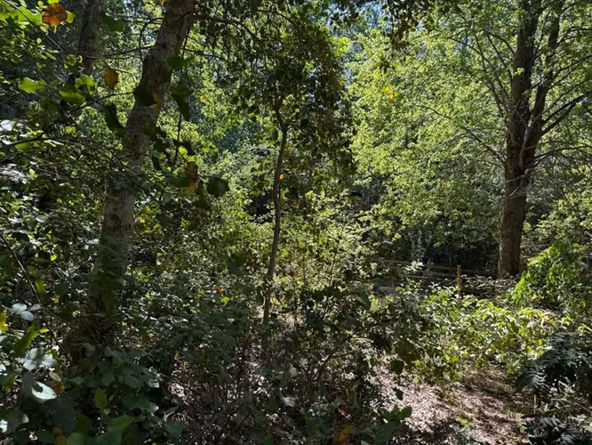 Se vende parcela de agrado, en Vilches Alto