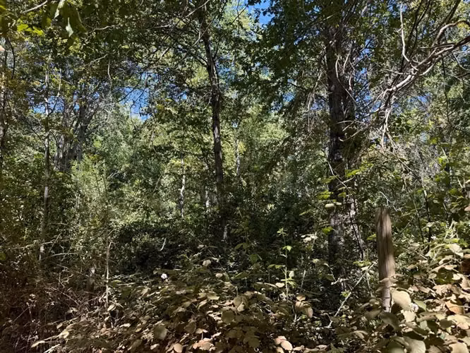 Se vende parcela de agrado, en Vilches Alto