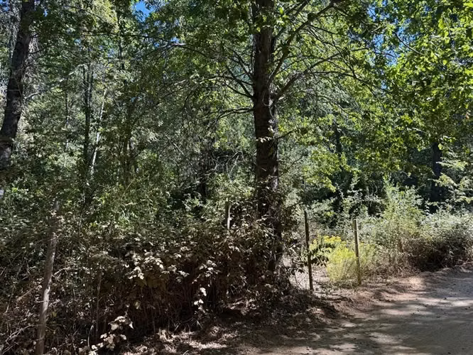 Se vende parcela de agrado, en Vilches Alto