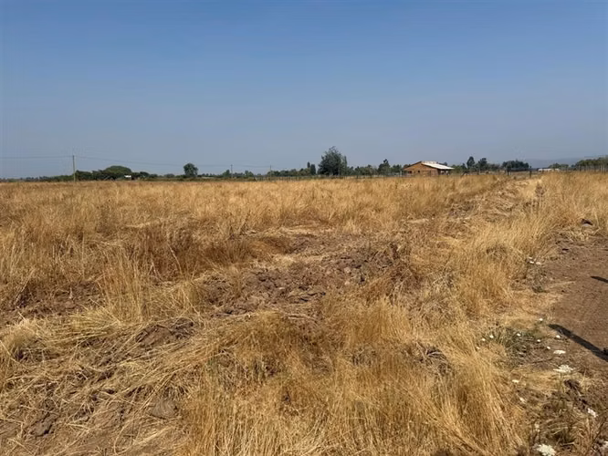 Se vende parcela de agrado de 5.000 m2 en San Rafael