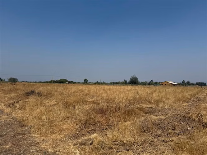Se vende parcela de agrado de 5.000 m2 en San Rafael