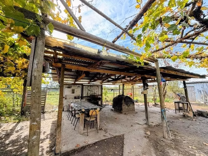 Venta de dos casas en parcela de 5000 mt2, Pelarco - Imagen 15