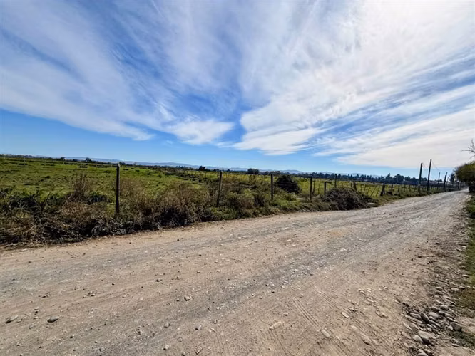 Venta de dos casas en parcela de 5000 mt2, Pelarco - Imagen 38