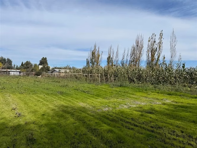 Venta de dos casas en parcela de 5000 mt2, Pelarco - Imagen 22