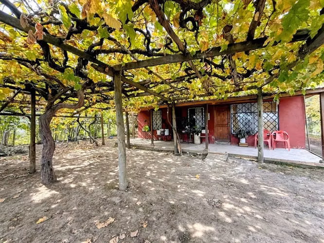 Venta de dos casas en parcela de 5000 mt2, Pelarco - Imagen 3