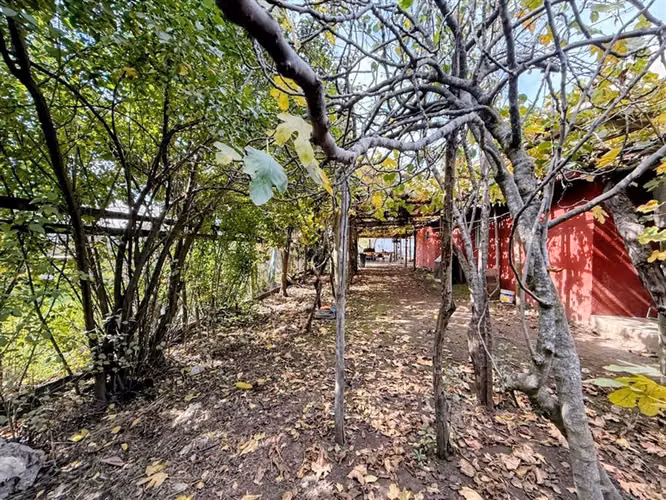 Venta de dos casas en parcela de 5000 mt2, Pelarco - Imagen 14
