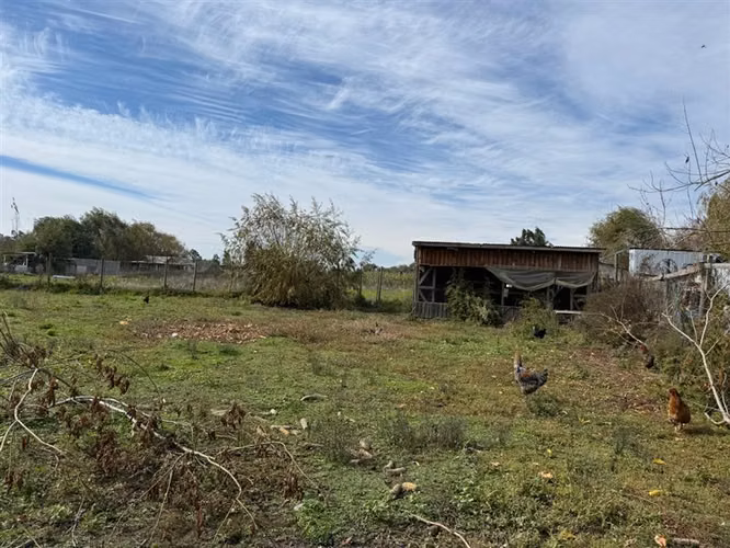 Venta de dos casas en parcela de 5000 mt2, Pelarco - Imagen 18