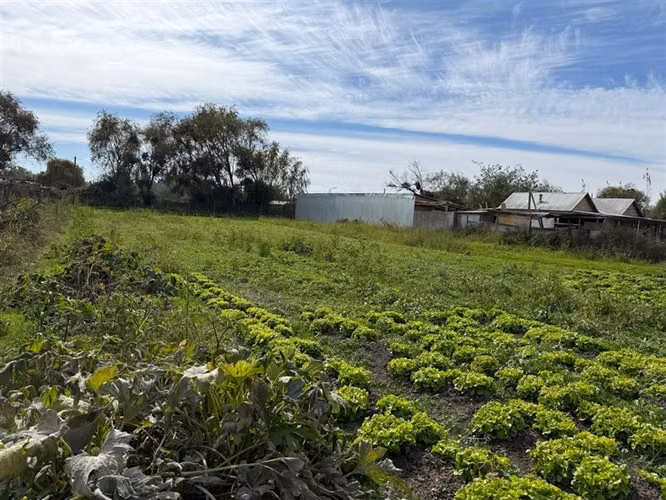 Venta de dos casas en parcela de 5000 mt2, Pelarco - Imagen 19