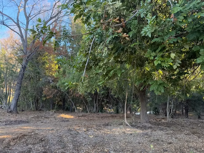 Se vende parcela de 5.000 m2 en Vilches Alto