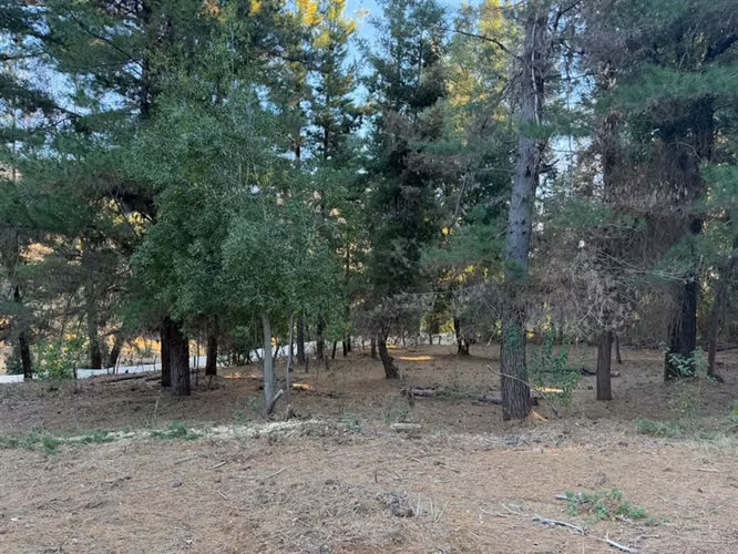 Se vende parcela de 5.000 m2 en Vilches Alto