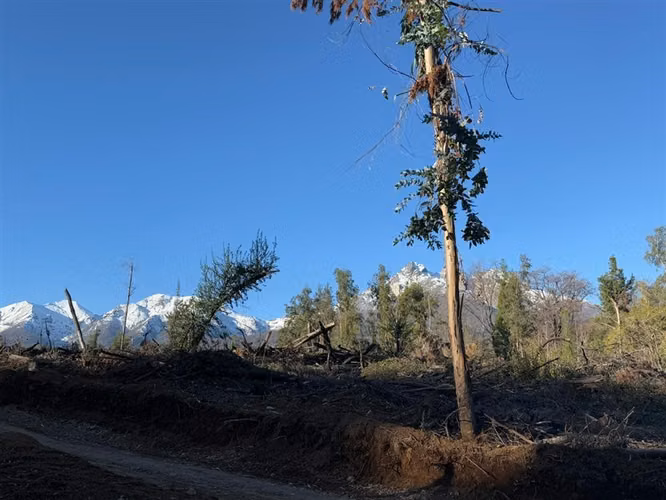 Se vende parcela de 5.000 m2 en Vilches Alto