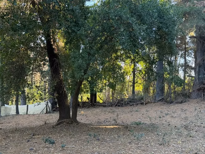 Se vende parcela de 5.000 m2 en Vilches Alto