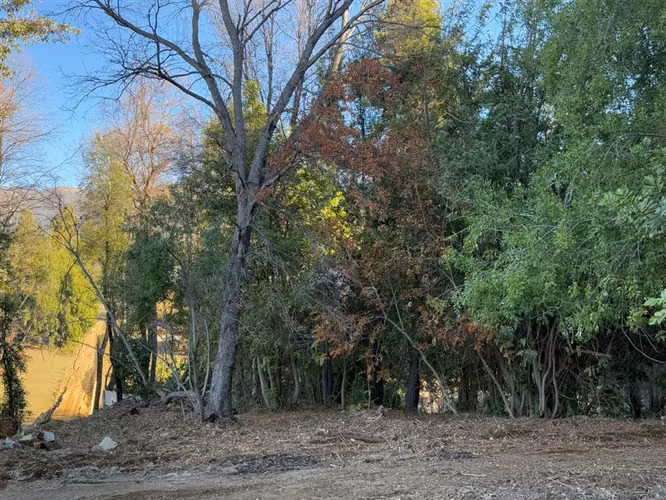 Se vende parcela de 5.000 m2 en Vilches Alto