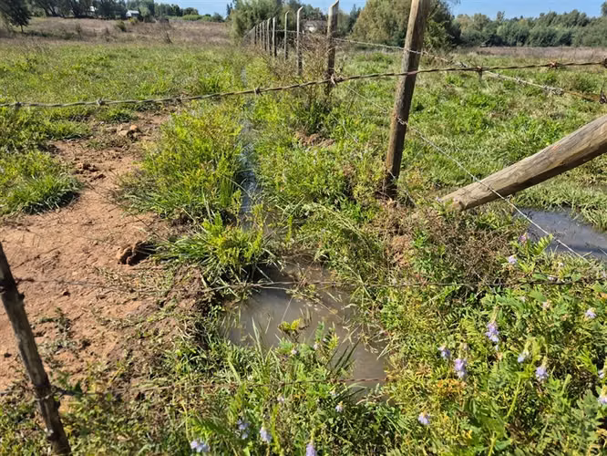 Venta Parcela Sector Peumo Negro, Las Delicias, San Clemente