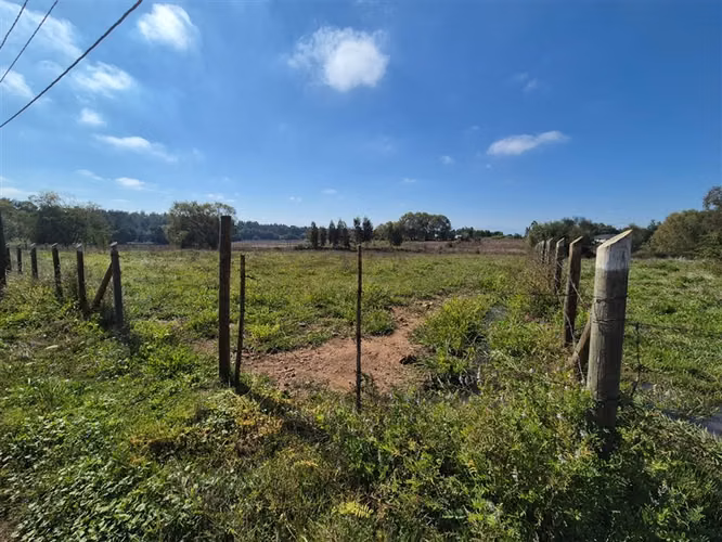Venta Parcela Sector Peumo Negro, Las Delicias, San Clemente