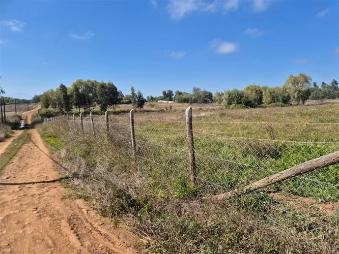 Venta Parcela Sector Peumo Negro, Las Delicias, San Clemente