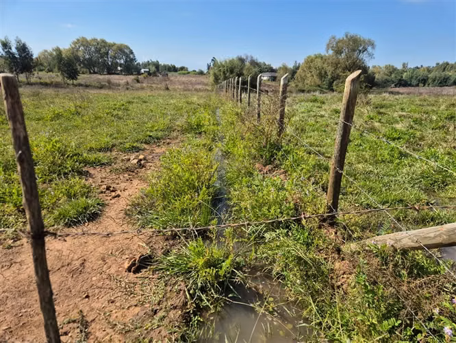Venta Parcela Sector Peumo Negro, Las Delicias, San Clemente