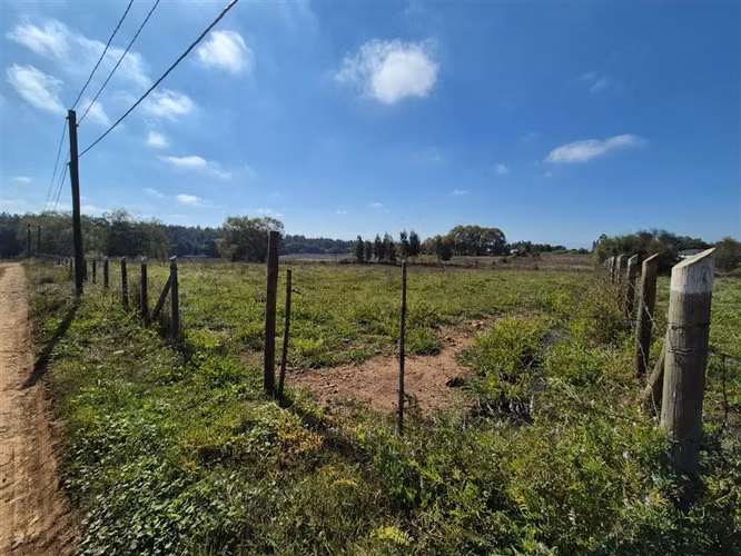 Venta Parcela Sector Peumo Negro, Las Delicias, San Clemente