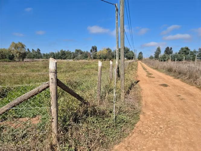 Venta Parcela Sector Peumo Negro, Las Delicias, San Clemente