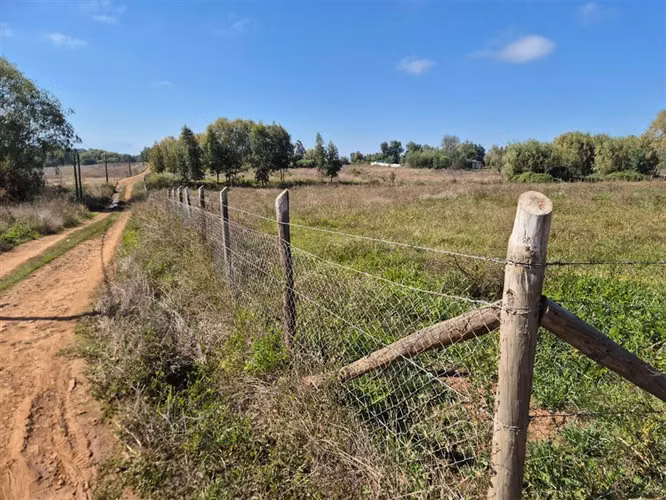 Venta Parcela Sector Peumo Negro, Las Delicias, San Clemente