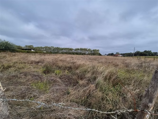 Parcela en venta en San Clemente