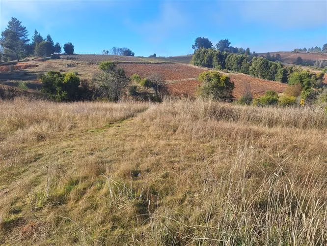 PARCELAS DE AGRADO EN SECTOR RANQUIL - BATUCO VIII REGION