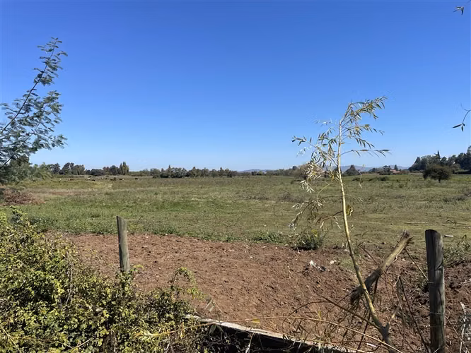 Parcelas de 5.000 m2 en venta en loteo