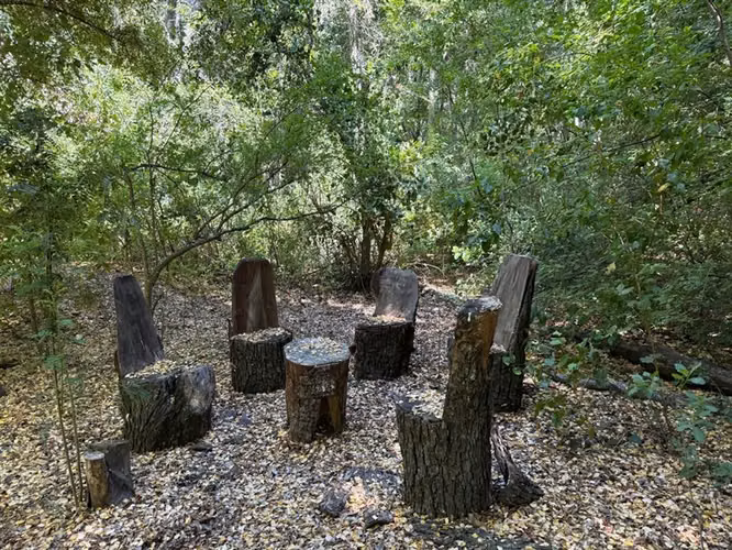 Se venden 7 hectáreas de bosque nativo en Vilches Alto