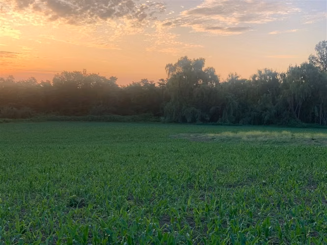 Se vende parcela agrícola 17 hectáreas en Cumpeo