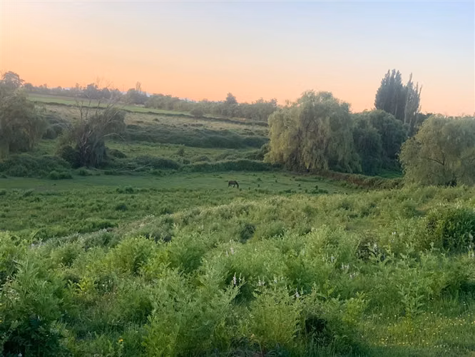 Se vende parcela agrícola 17 hectáreas en Cumpeo