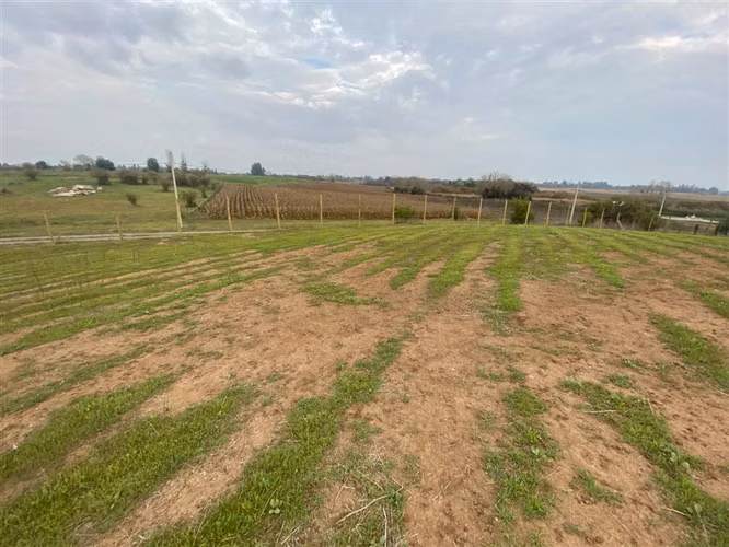 Parcela en venta con laguna y bosque, Talca