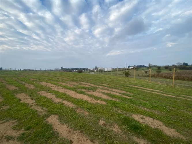 Parcela en venta con laguna y bosque, Talca